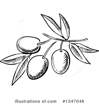 Royalty-Free (RF) Olives Clipart Illustration by Vector Tradition SM - Stock Sample #1347046