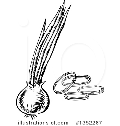 Royalty-Free (RF) Onion Clipart Illustration by Vector Tradition SM - Stock Sample #1352287