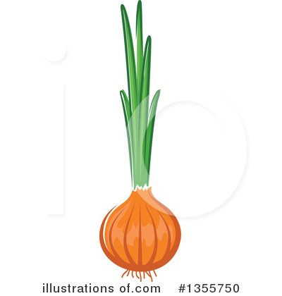 Yellow Onion Clipart #1355750 by Vector Tradition SM