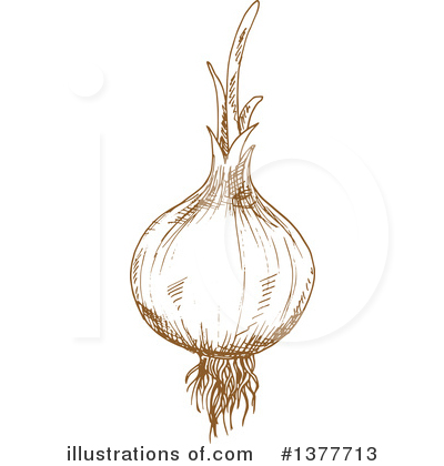 Royalty-Free (RF) Onion Clipart Illustration by Vector Tradition SM - Stock Sample #1377713