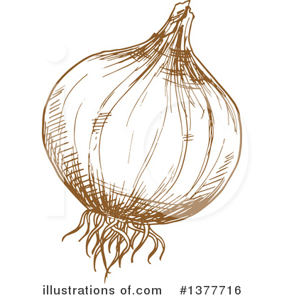 Royalty-Free (RF) Onion Clipart Illustration by Vector Tradition SM - Stock Sample #1377716