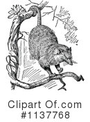 Opossum Clipart #1137768 by Prawny Vintage