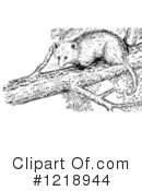 Opossum Clipart #1218944 by Picsburg
