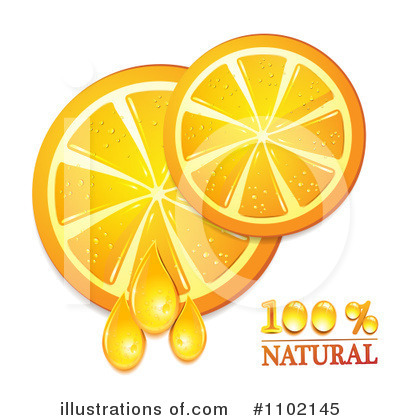 Royalty-Free (RF) Oranges Clipart Illustration by merlinul - Stock Sample #1102145