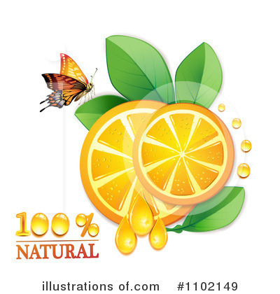 Royalty-Free (RF) Oranges Clipart Illustration by merlinul - Stock Sample #1102149