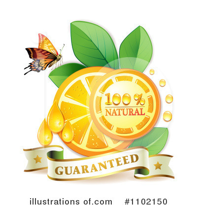 Royalty-Free (RF) Oranges Clipart Illustration by merlinul - Stock Sample #1102150