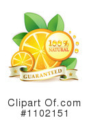 Oranges Clipart #1102151 by merlinul