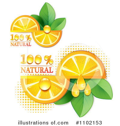 Royalty-Free (RF) Oranges Clipart Illustration by merlinul - Stock Sample #1102153