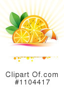 Oranges Clipart #1104417 by merlinul