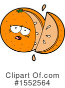 Oranges Clipart #1552564 by lineartestpilot