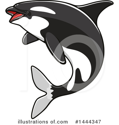 Orca Clipart #1444347 by Vector Tradition SM