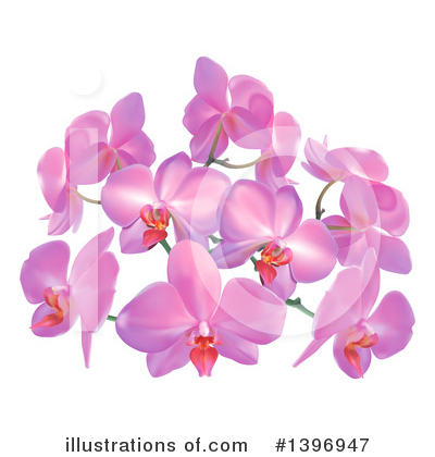 Orchid Clipart #1396947 by AtStockIllustration