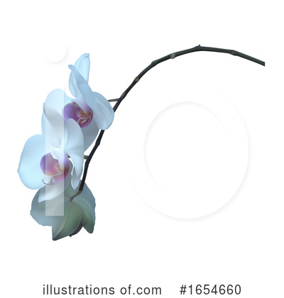 Royalty-Free (RF) Orchid Clipart Illustration by dero - Stock Sample #1654660