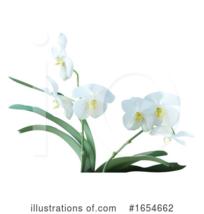 Royalty-Free (RF) Orchid Clipart Illustration by dero - Stock Sample #1654662