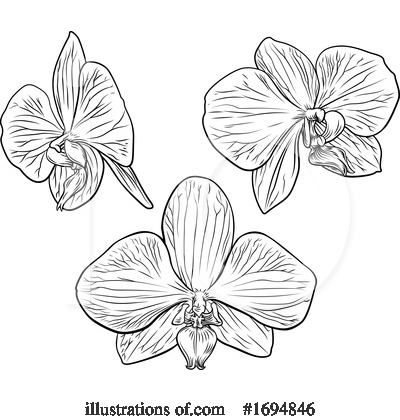 Orchid Clipart #1694846 by AtStockIllustration