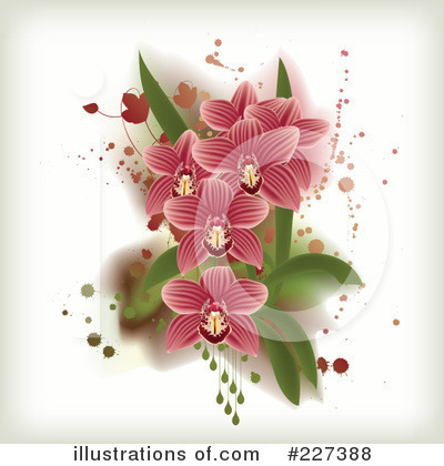 Royalty-Free (RF) Orchid Clipart Illustration by Eugene - Stock Sample #227388