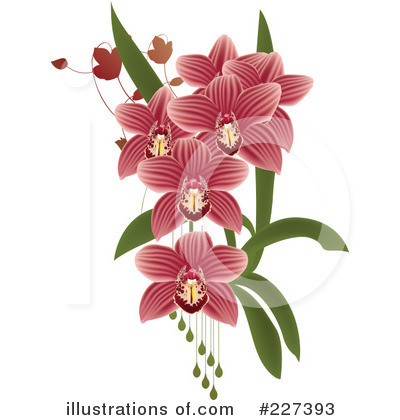 Royalty-Free (RF) Orchid Clipart Illustration by Eugene - Stock Sample #227393
