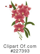 Orchid Clipart #227393 by Eugene