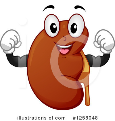 Kidney Clipart #1258048 by BNP Design Studio