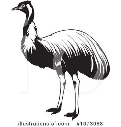 Ostrich Clipart #1073088 by dero