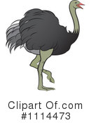 Ostrich Clipart #1114473 by Lal Perera