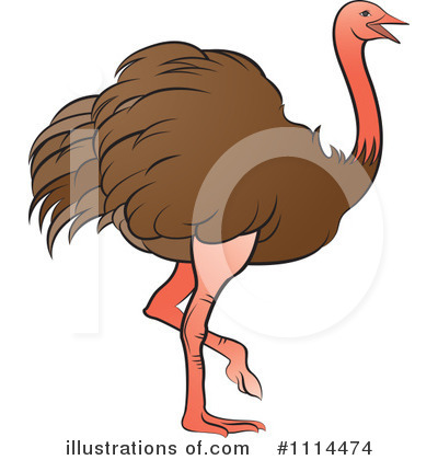 Ostrich Clipart #1114474 by Lal Perera
