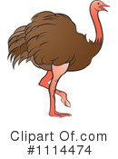 Ostrich Clipart #1114474 by Lal Perera