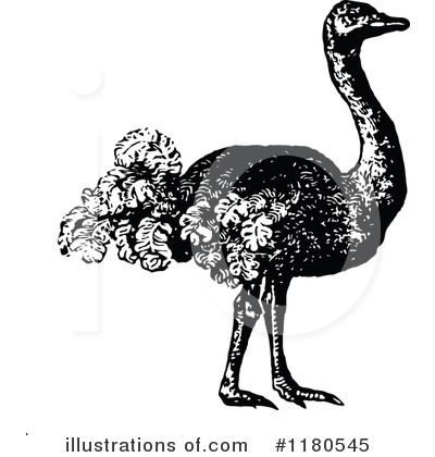 Royalty-Free (RF) Ostrich Clipart Illustration by Prawny Vintage - Stock Sample #1180545