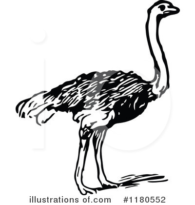 Royalty-Free (RF) Ostrich Clipart Illustration by Prawny Vintage - Stock Sample #1180552