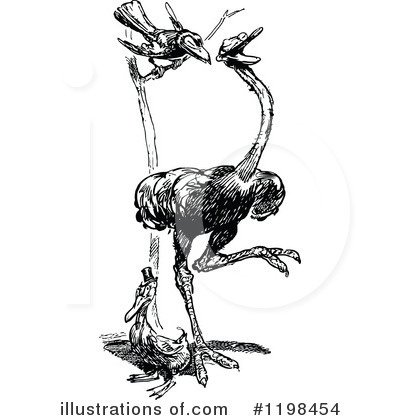 Royalty-Free (RF) Ostrich Clipart Illustration by Prawny Vintage - Stock Sample #1198454