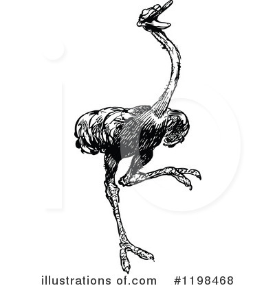 Royalty-Free (RF) Ostrich Clipart Illustration by Prawny Vintage - Stock Sample #1198468