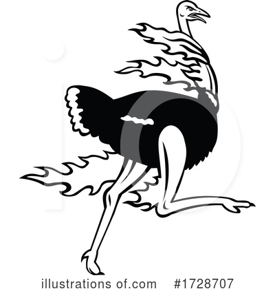 Ostrich Clipart #1728707 by patrimonio