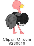 Ostrich Clipart #230019 by BNP Design Studio