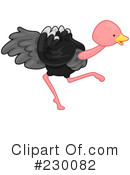 Ostrich Clipart #230082 by BNP Design Studio