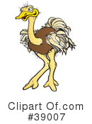 Ostrich Clipart #39007 by Snowy