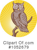 Owl Clipart #1052679 by patrimonio