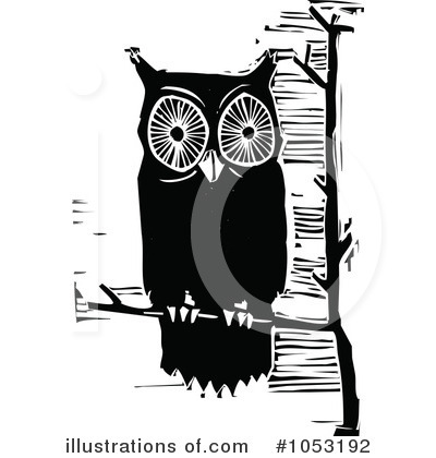 Owl Clipart #1053192 by xunantunich