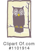Owl Clipart #1101914 by xunantunich
