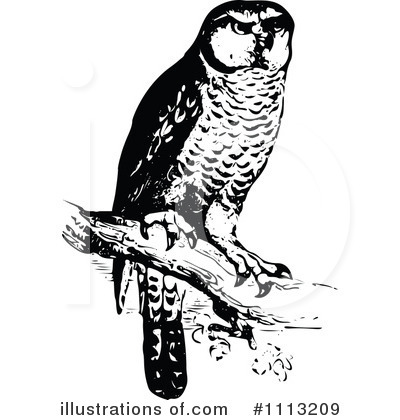 Royalty-Free (RF) Owl Clipart Illustration by Prawny Vintage - Stock Sample #1113209