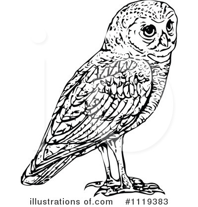 Royalty-Free (RF) Owl Clipart Illustration by Prawny Vintage - Stock Sample #1119383