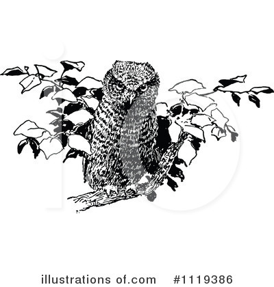 Royalty-Free (RF) Owl Clipart Illustration by Prawny Vintage - Stock Sample #1119386