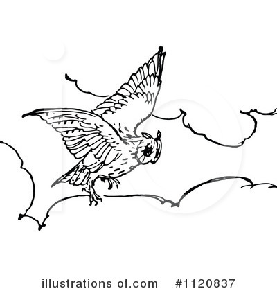Royalty-Free (RF) Owl Clipart Illustration by Prawny Vintage - Stock Sample #1120837