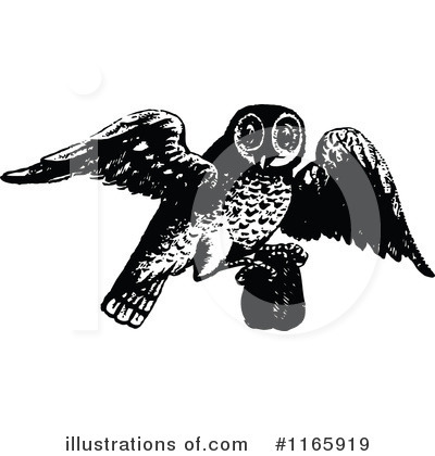Royalty-Free (RF) Owl Clipart Illustration by Prawny Vintage - Stock Sample #1165919