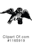 Owl Clipart #1165919 by Prawny Vintage