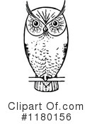 Owl Clipart #1180156 by Prawny Vintage