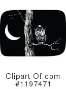 Owl Clipart #1197471 by Prawny Vintage