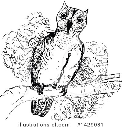 Royalty-Free (RF) Owl Clipart Illustration by Prawny Vintage - Stock Sample #1429081
