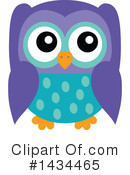 Owl Clipart #1434465 by visekart
