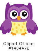 Owl Clipart #1434472 by visekart