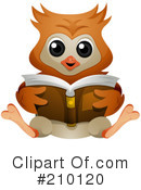 Owl Clipart #210120 by BNP Design Studio
